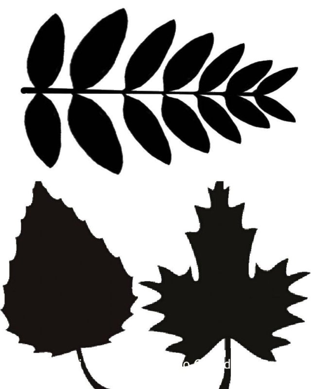 Листья трафарет для вырезания