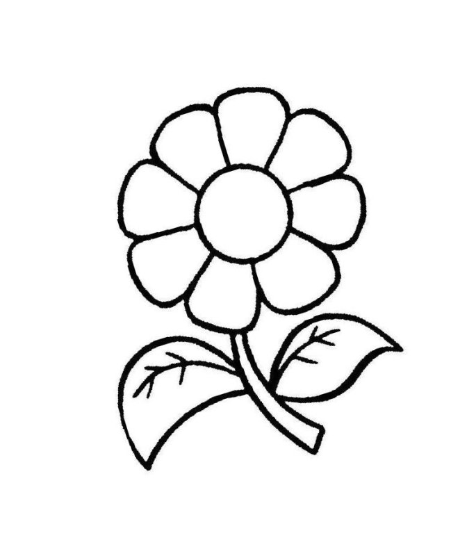 Цветок раскраска для детей 2-3 лет