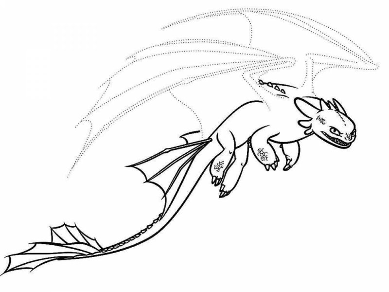 Раскраска дракон ночная фурия