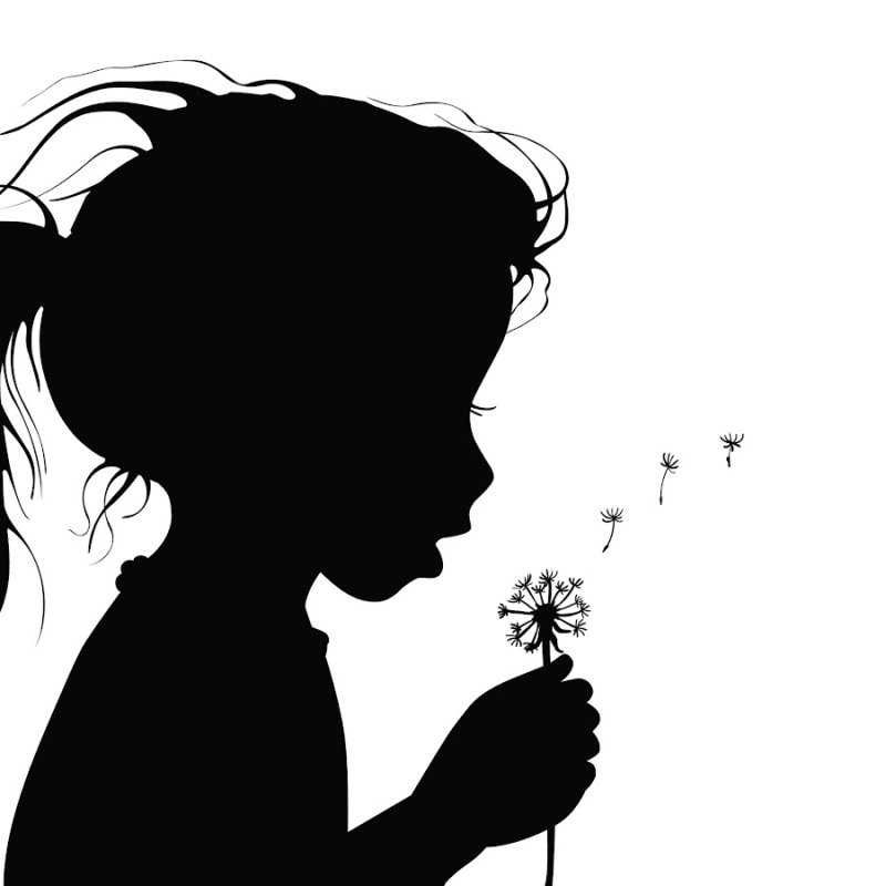 Контур девушки