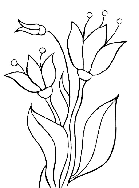 Весенние цветы раскраска для детей