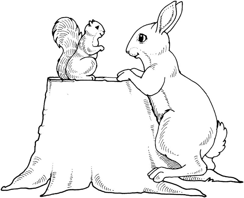Заяц раскраска для детей