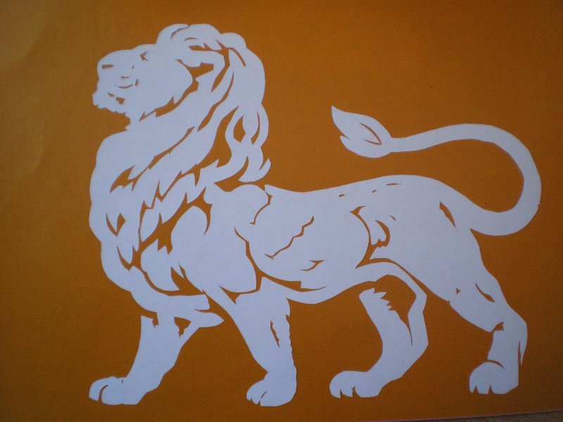 Вытанки на окна 2022