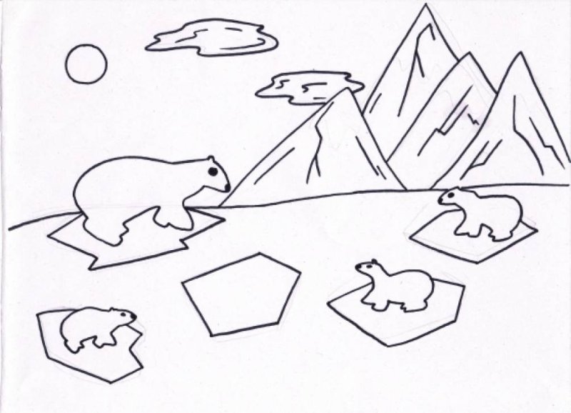 Аппликация белый медведь в старшей группе