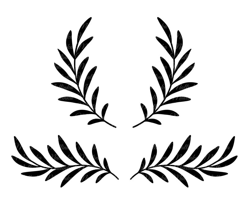 Орнамент веточки