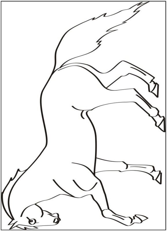 Раскраска конь