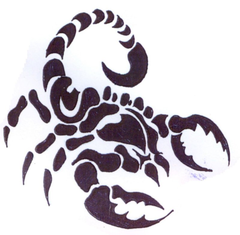 Тату Скорпион трайбл