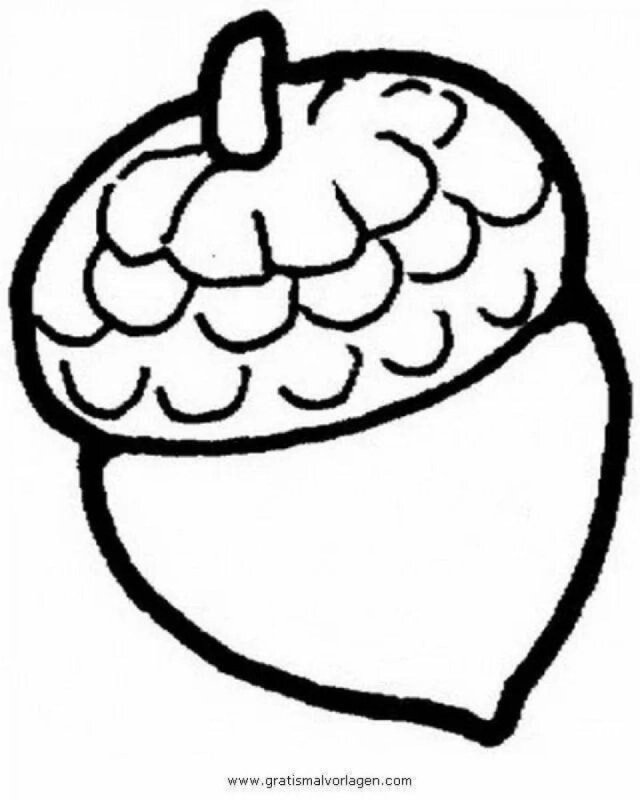 Орехи для раскрашивания для детей