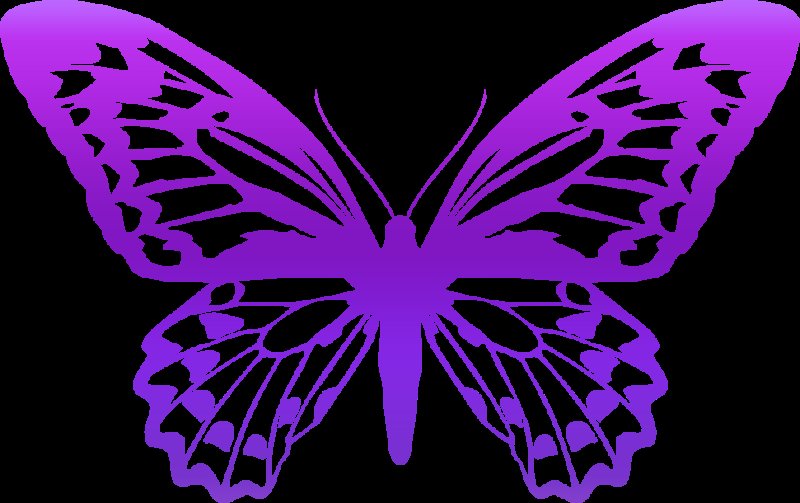 Сиреневые бабочки