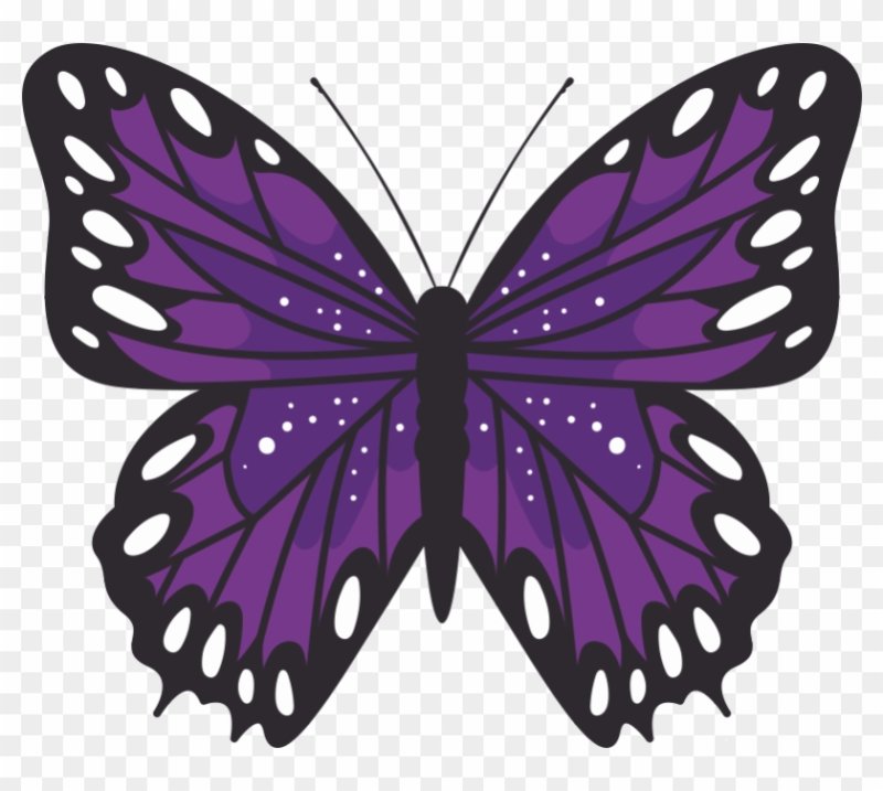 Бабочка фиолетовая