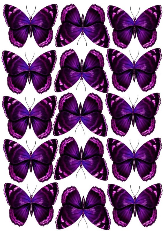 Фиолетовая бабочка из бумаги