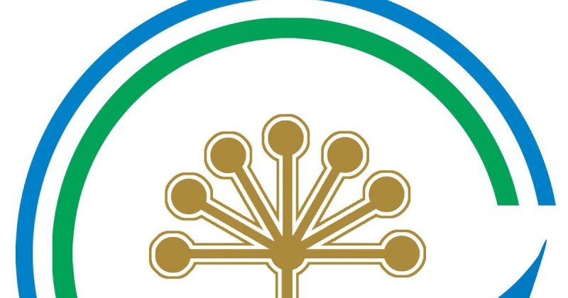 Символ Башкирии цветок курая герб