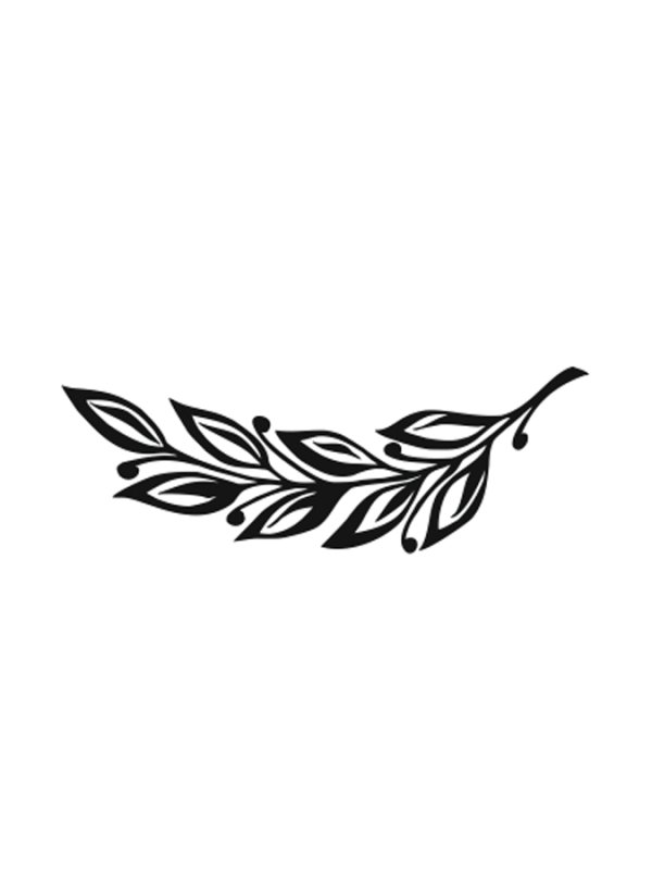 Лавровая ветка рисунок