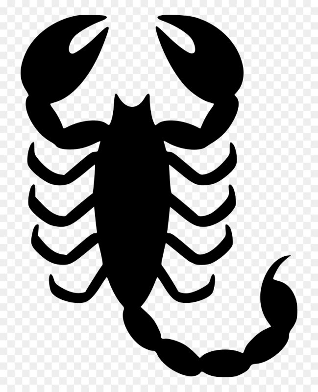 Скорпион трафарет