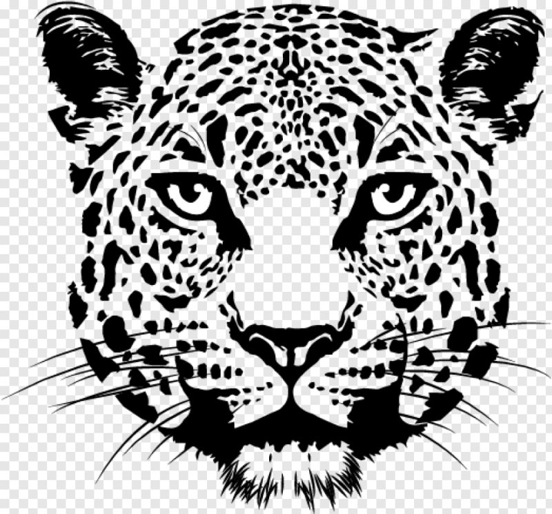 Леопард снежный Барс Ягуар