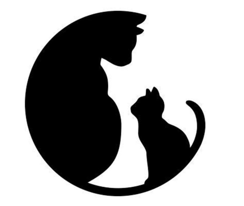 Силуэт кошки