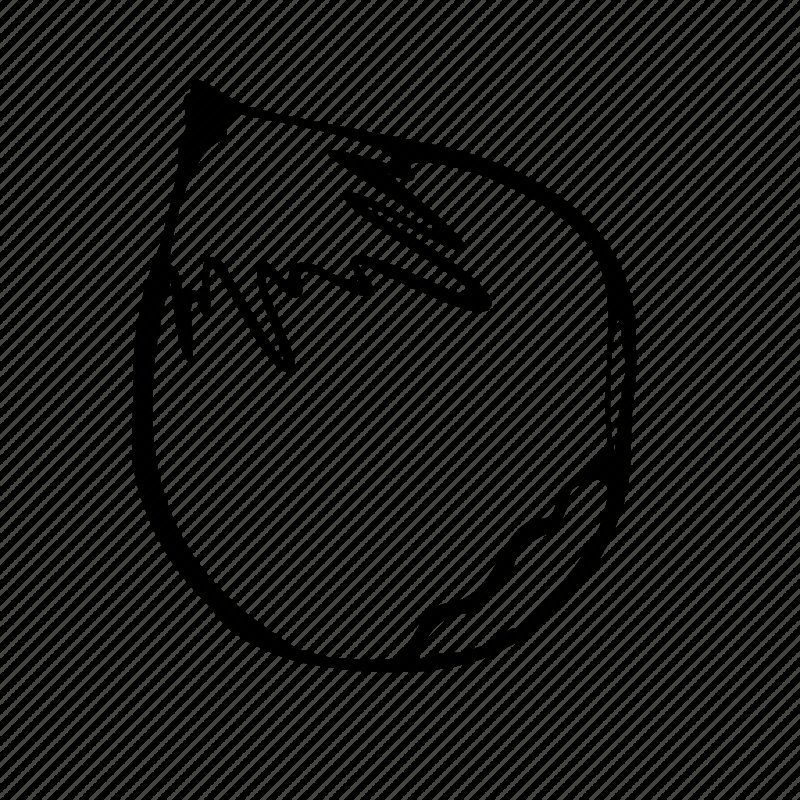 Орехи для раскрашивания для детей