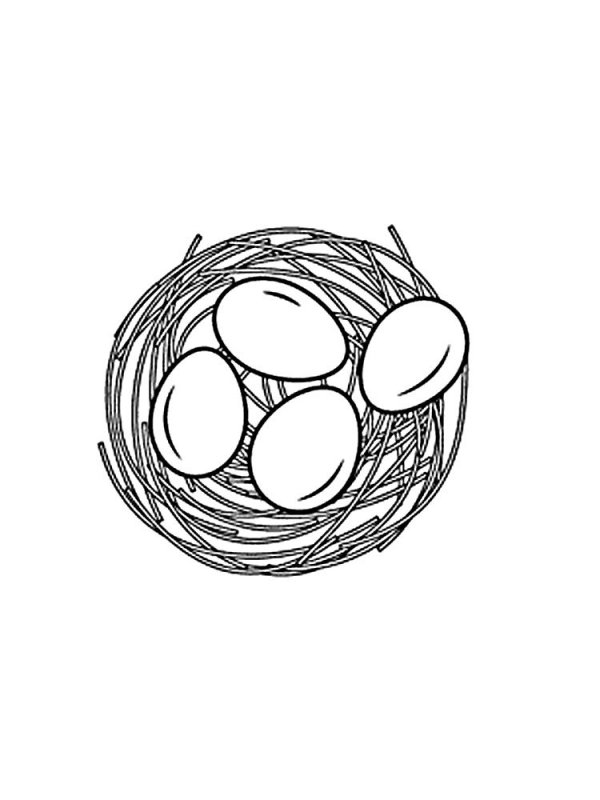 Нарисовать яйцо