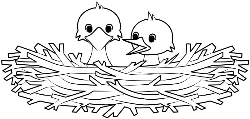 Раскраска птенцы в гнезде