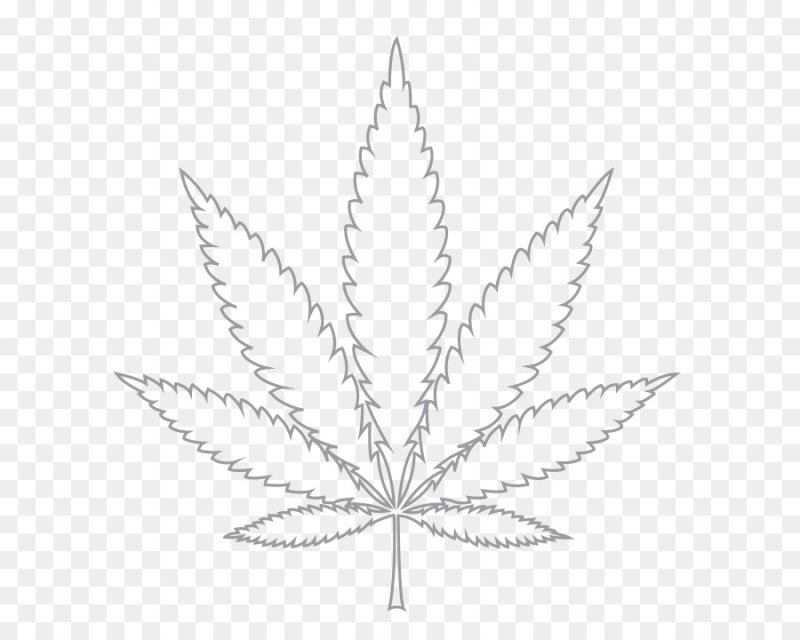 Лист марихуаны