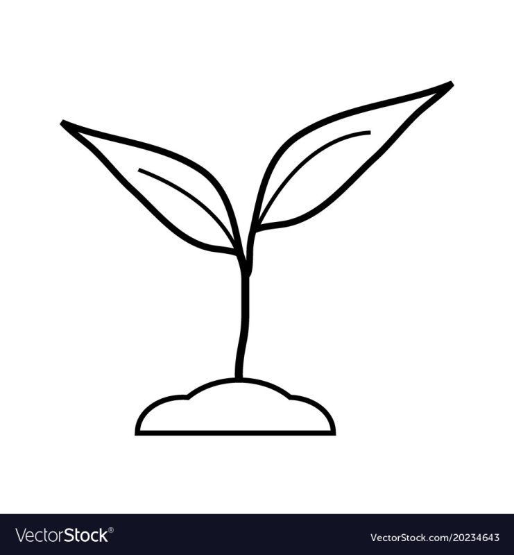 Росток раскраска для детей