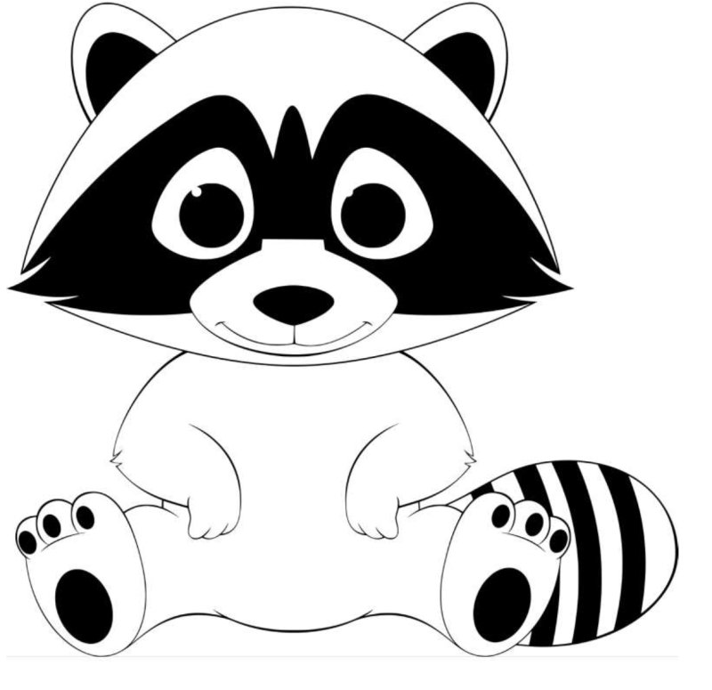 Раскраска малышам. Енот