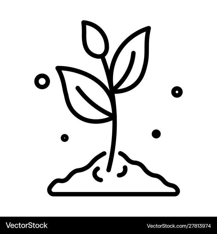 Рассада значок