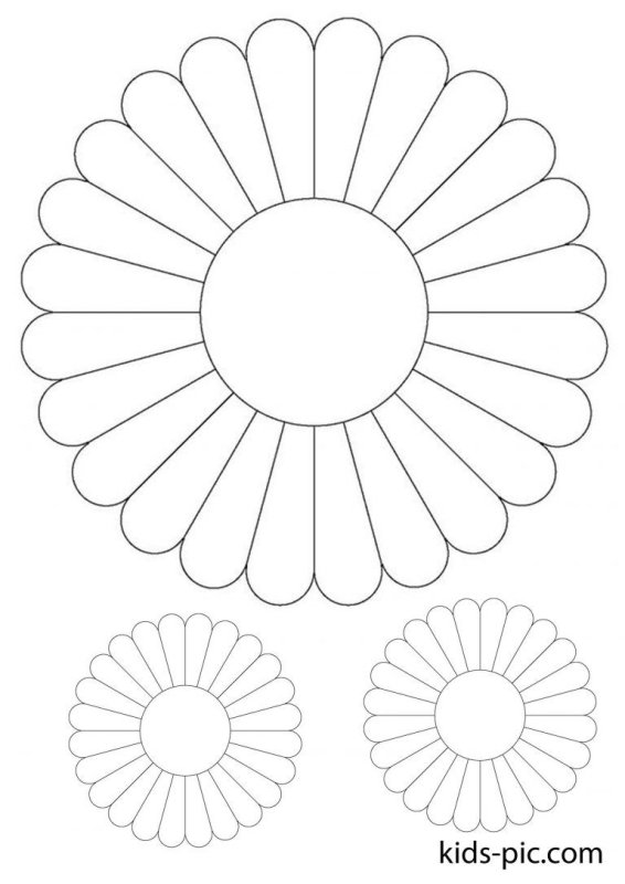 Трафарет ромашки для вырезания из бумаги