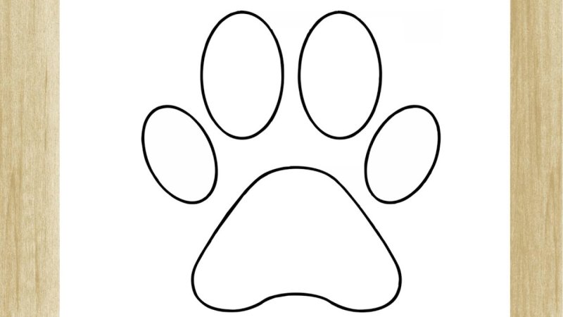 Лапки для раскрашивания