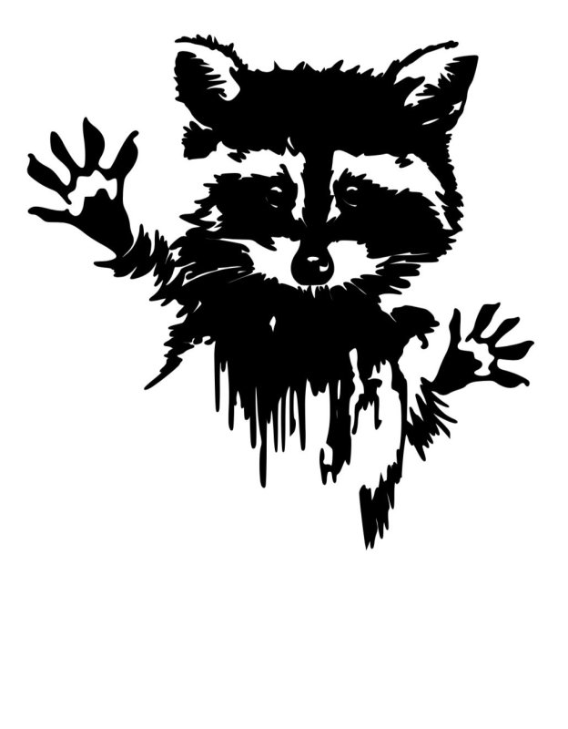 Енот трафарет