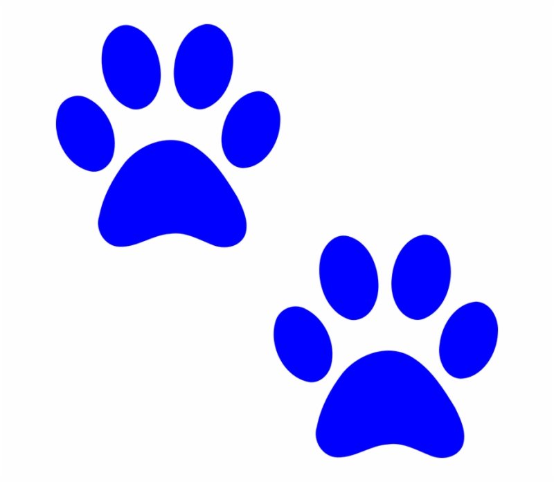 Кошачьи следы