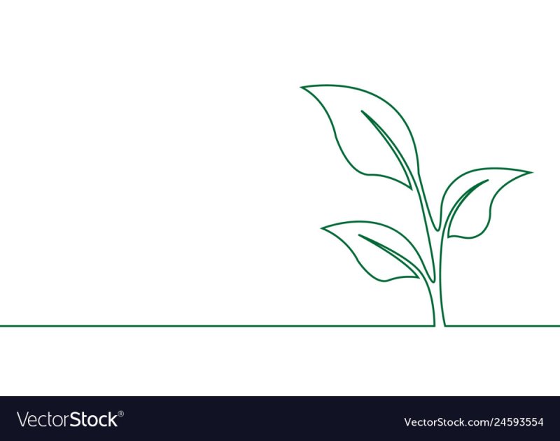 Росток рисунок карандашом