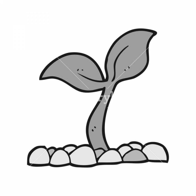 Росток вектор