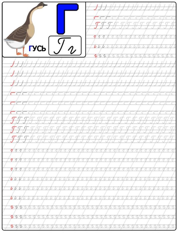 Прописи буква г прописная
