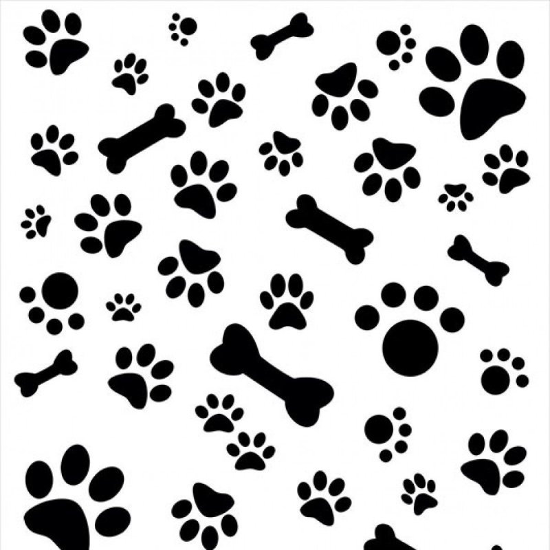 Фон собачьи лапки
