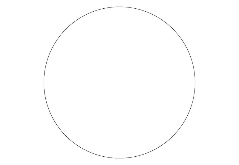 В круге белом