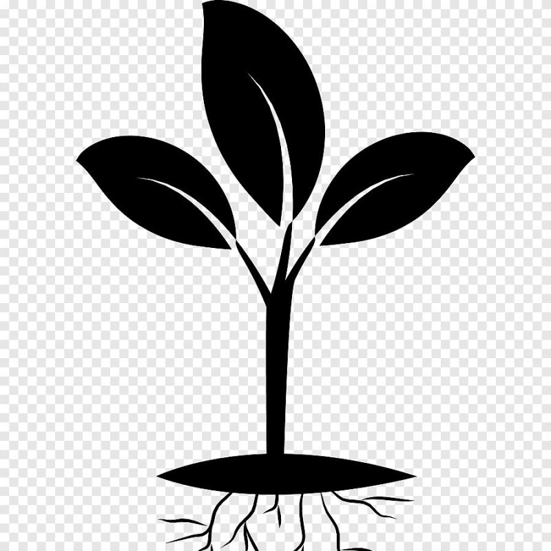 Росток вектор