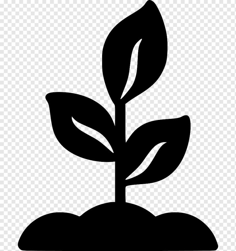 Силуэты растений