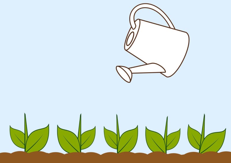 Растения занятия для дошкольников