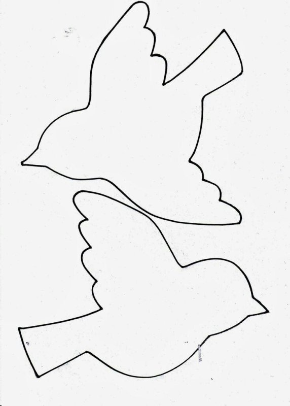 Трафарет птицы