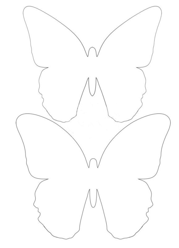 Трафареты бабочек для декора