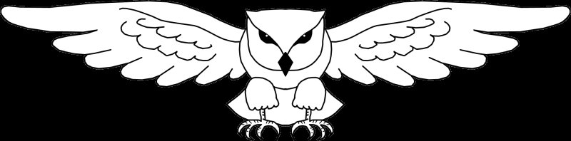 Крылья Совы