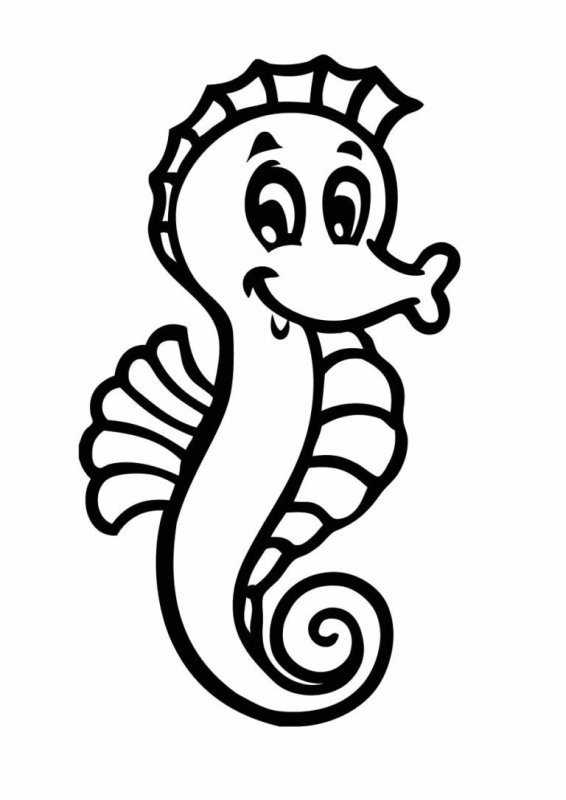 Морской конек раскраска