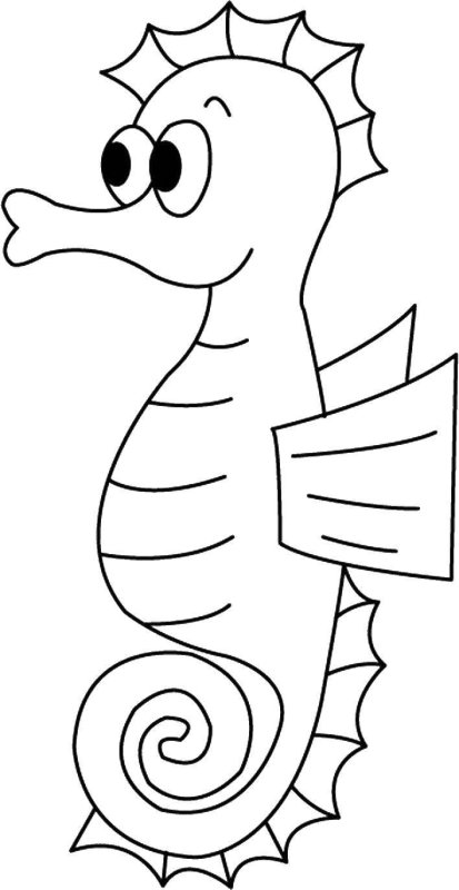 Морской конек раскраска