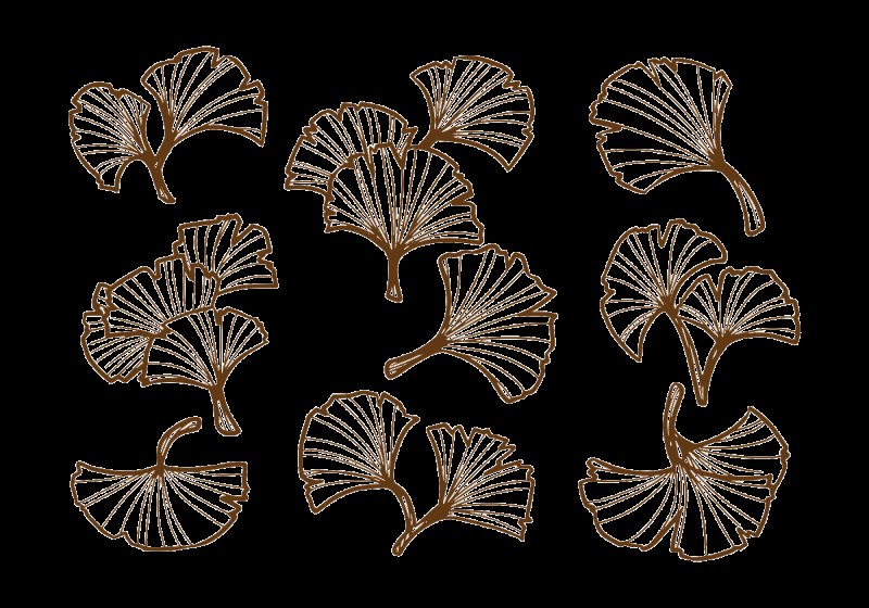 Рисунок листьев гинкго билоба