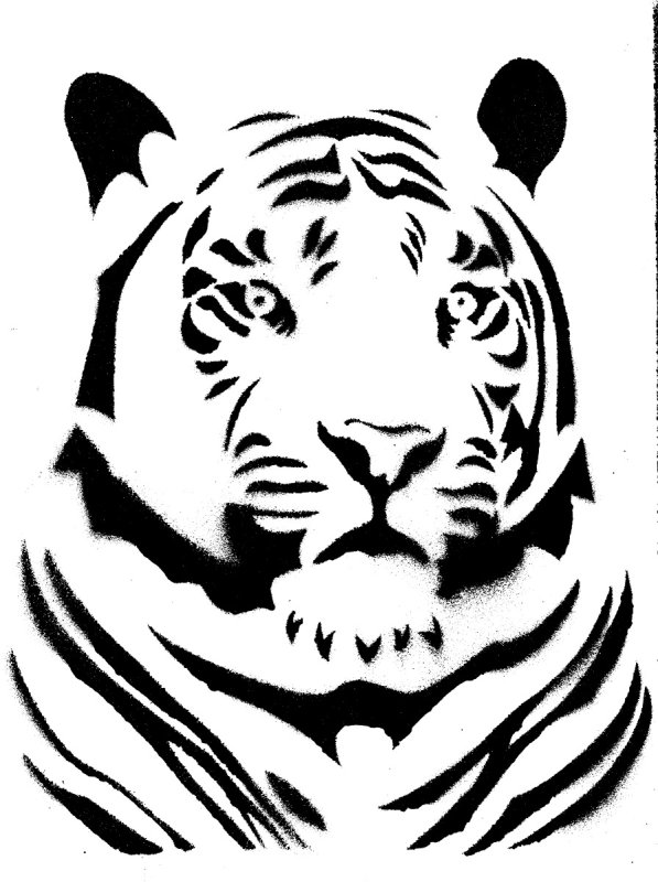 Вырезки на окна тигр