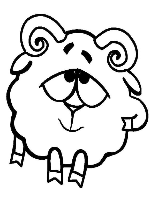 Бараш раскраска