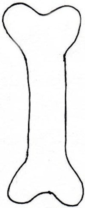 Кости Кощея Бессмертного