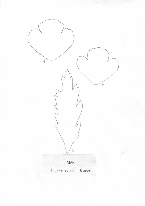 Листья мака трафарет