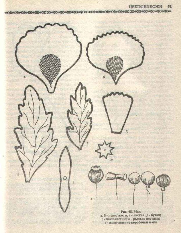Выкройка лепестков мака